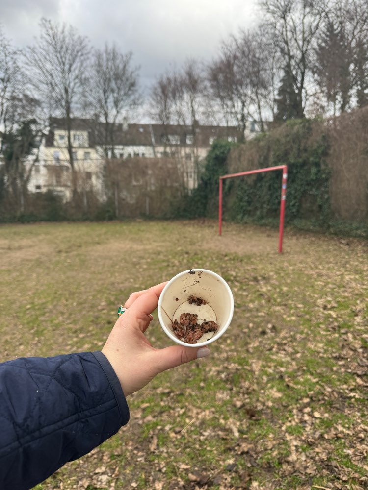 Giftköder-Vermeintlicher Giftköder-Profilbild