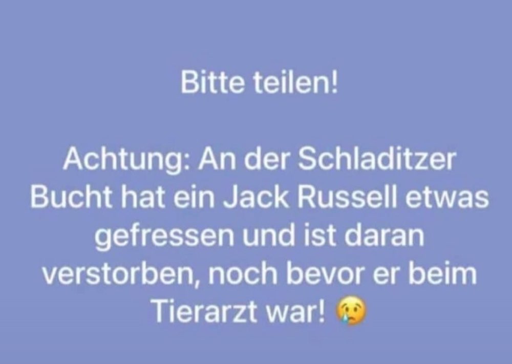 Giftköder-Giftköder, Schladitzer Bucht-Profilbild