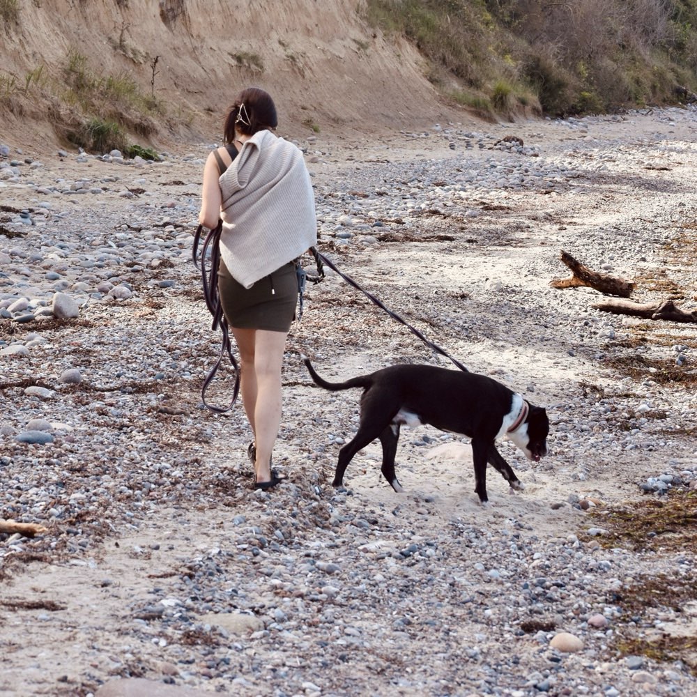 Hundetreffen-Wandern, trainieren, spazieren-Profilbild
