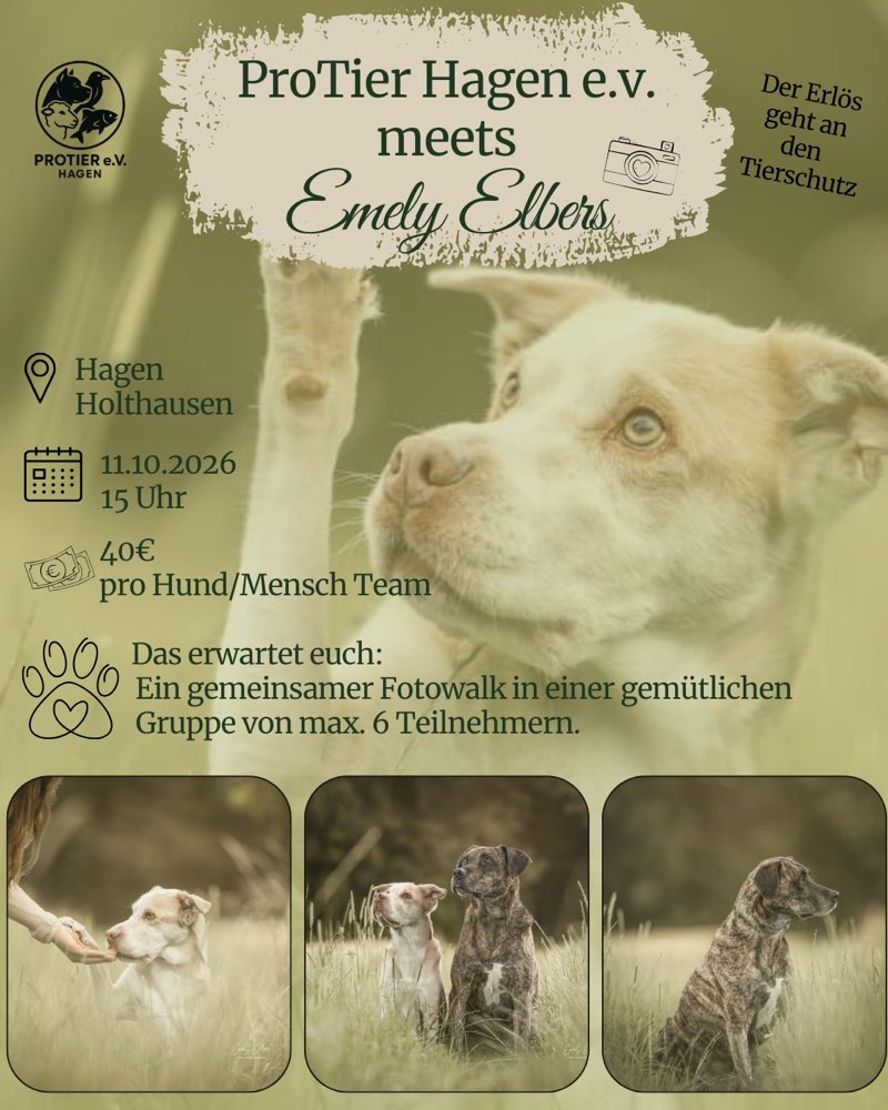 Hundetreffen-Fotowalk in Holthausen-Profilbild
