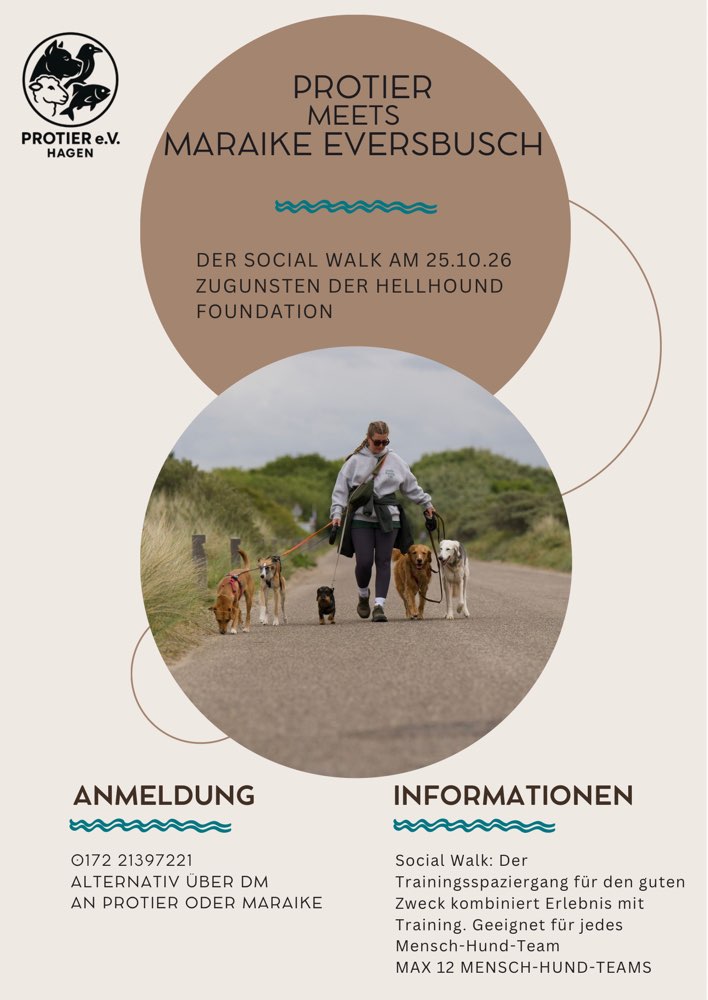 Hundetreffen-Social Walk - mit Hundetrainerin Maraike Eversbusch-Profilbild
