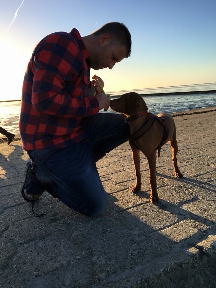 Hundetreffen-Gassirunde mit Viszla-Profilbild