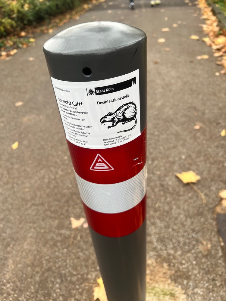 Giftköder-Rattengift ausgelegt von der Stadt Köln-Profilbild