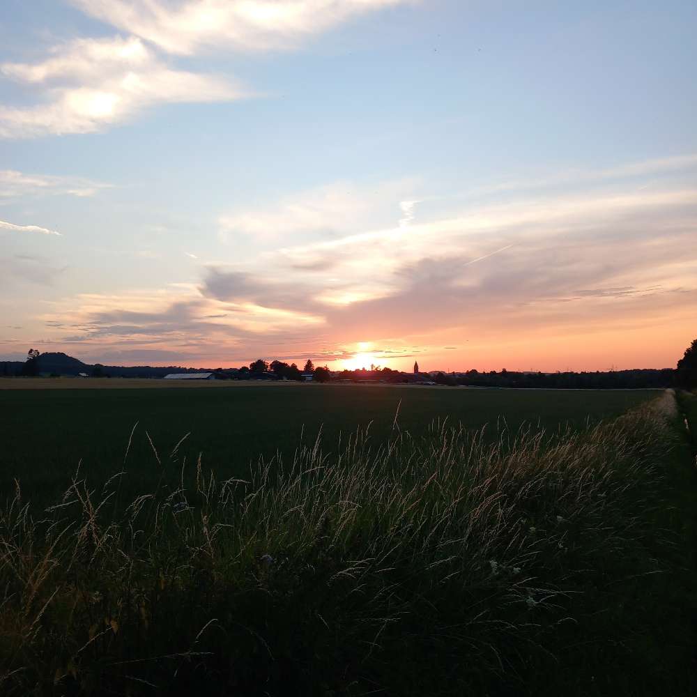 Hundetreffen-Indeschnüffler-Profilbild