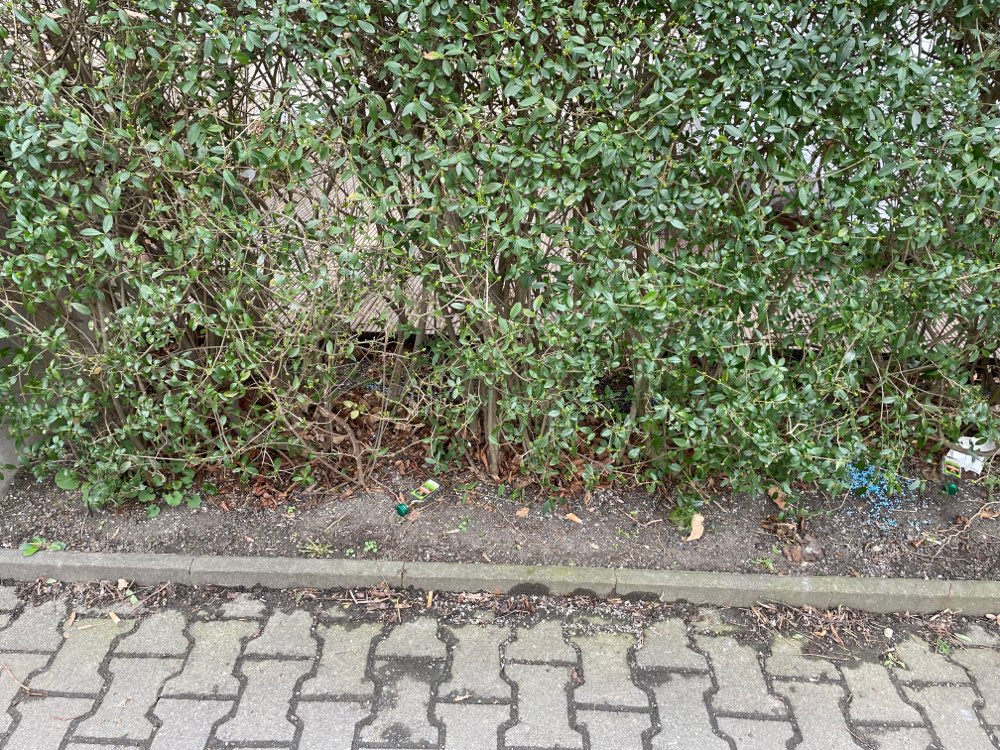 Giftköder-Rattengift-Profilbild