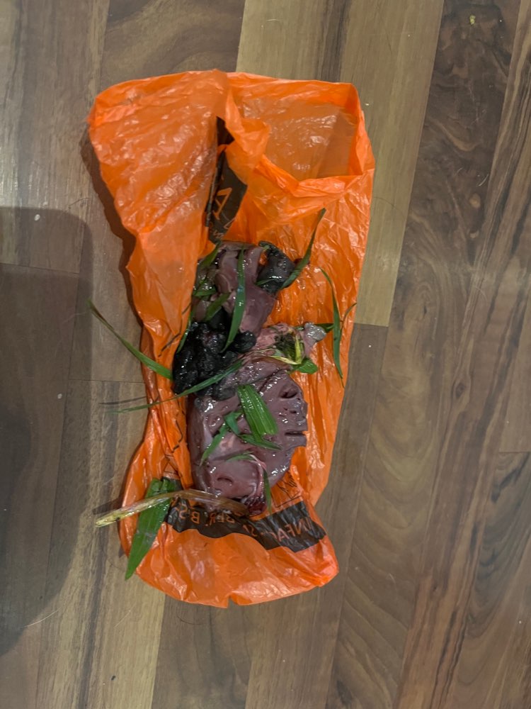 Giftköder-Große rohe Fleischstücke-Profilbild