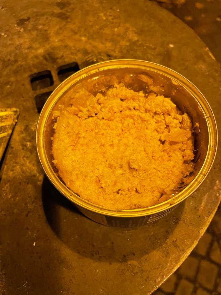 Giftköder-Mehrere Leckerlis unter Laub platziert-Profilbild