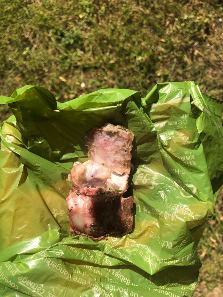 Giftköder-Knochenstücke auf Wiese-Profilbild