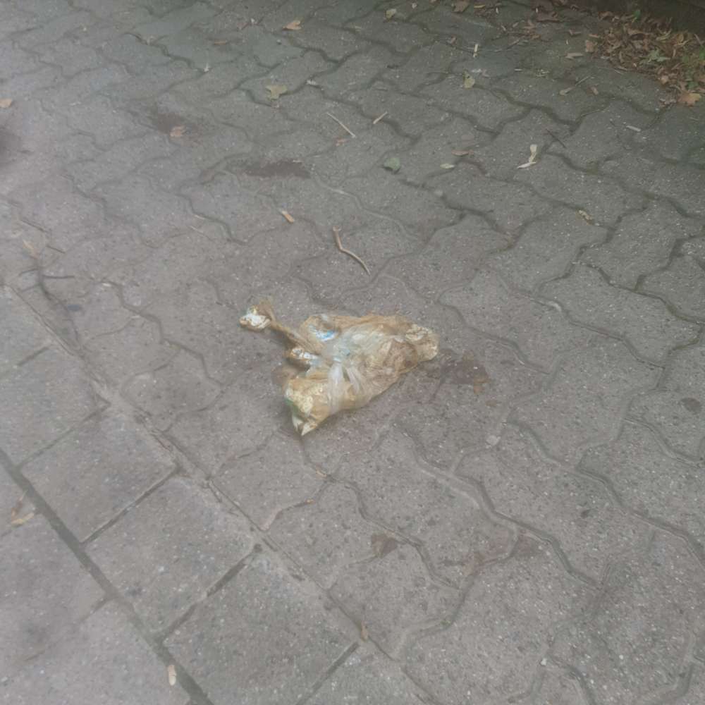 Giftköder-Tüte mit braunem Inhalt-Profilbild