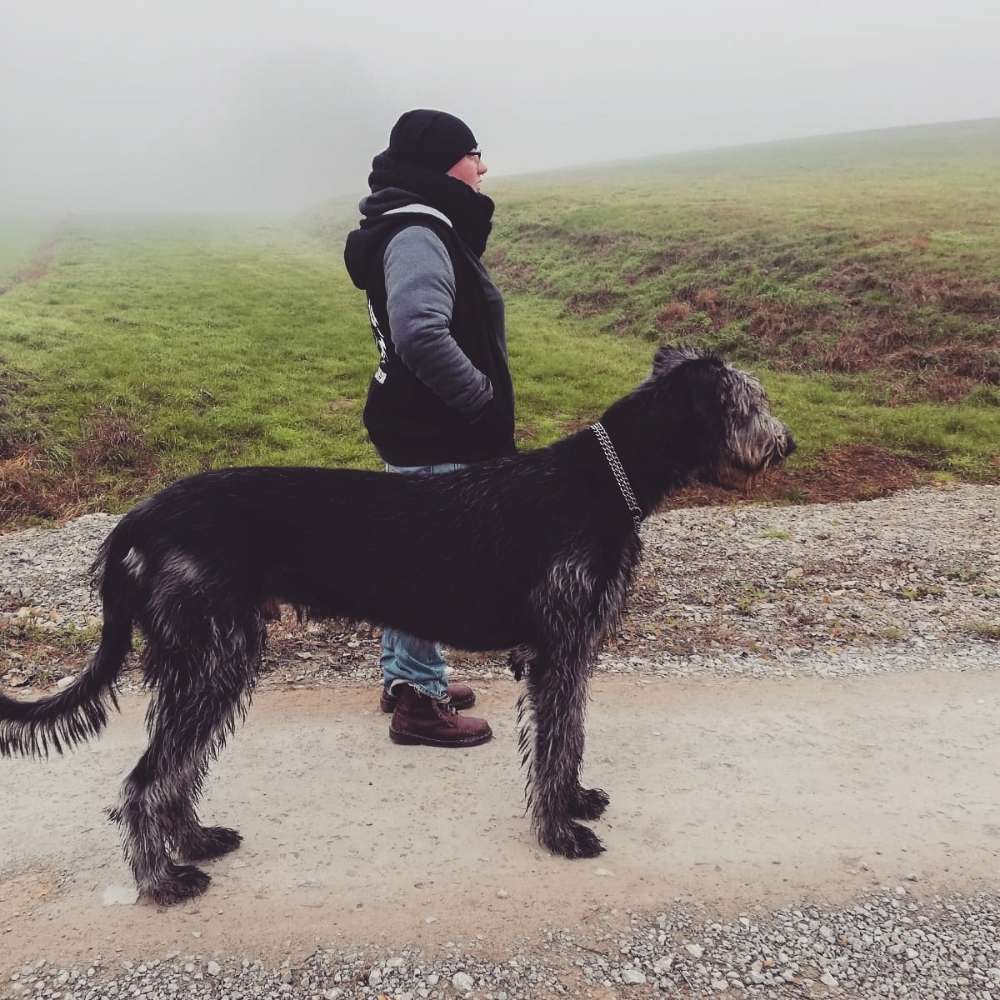 Hundetreffen-Gemütliche Spaziergänge in und um Einbeck-Profilbild