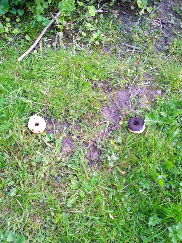 Giftköder-Lebensmittel und Schokolade-Profilbild