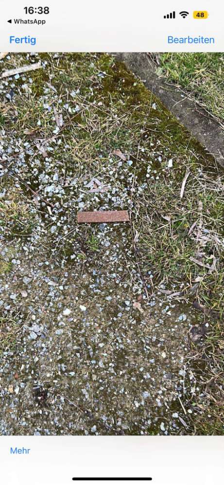 Giftköder-Giftköder-Profilbild