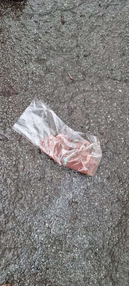 Giftköder-Giftköder-Profilbild