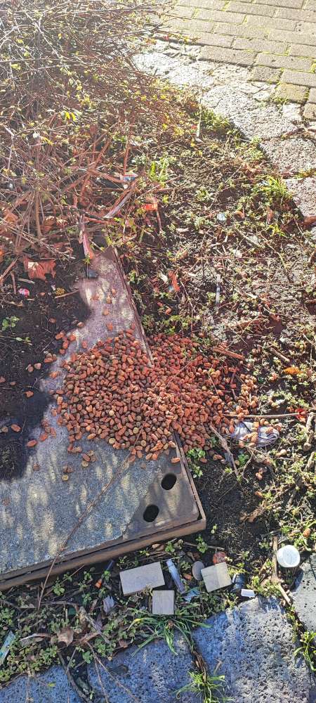 Giftköder-Ausgelegtes Trockenfutter-Profilbild