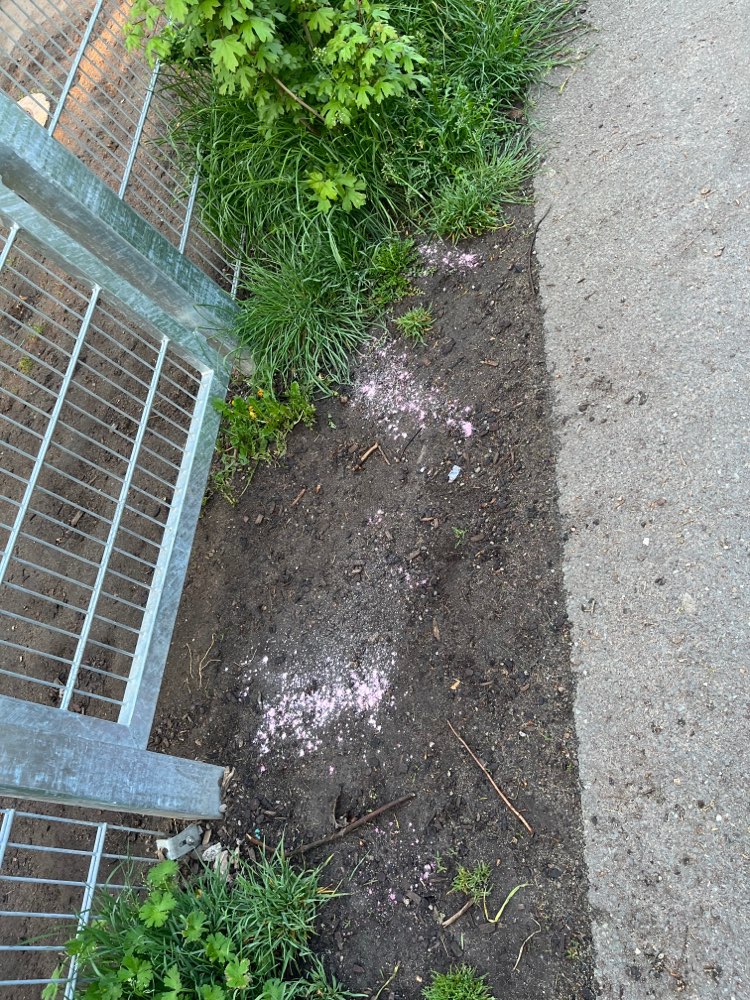 Giftköder-Rattengift gestreut-Profilbild