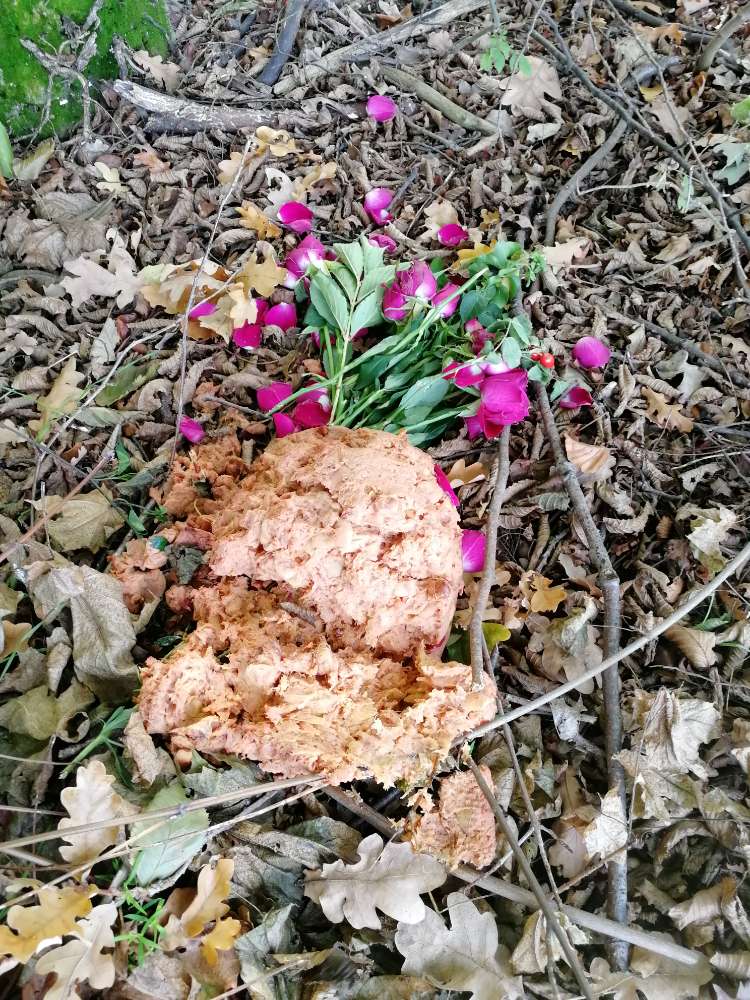 Giftköder-Komische Masse am Straßenrand-Profilbild