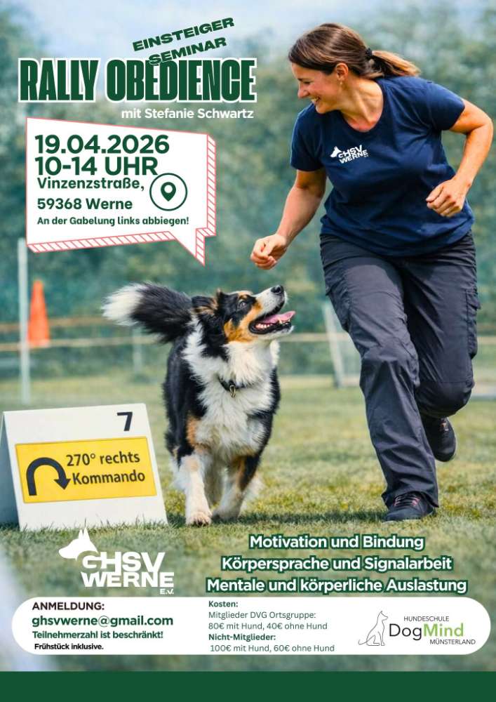 Hundetreffen-Rally Obedience Einsteiger Seminar-Profilbild