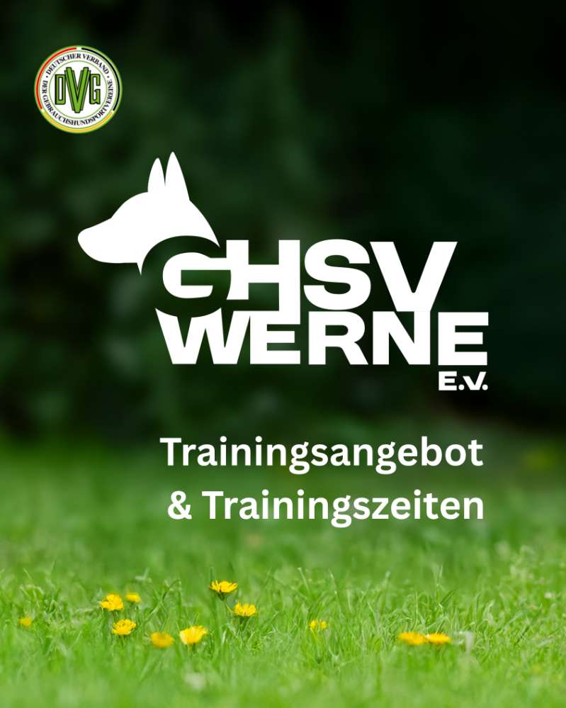 Hundetreffen-Hundesport für Jederhund in 59368 Werne!-Profilbild