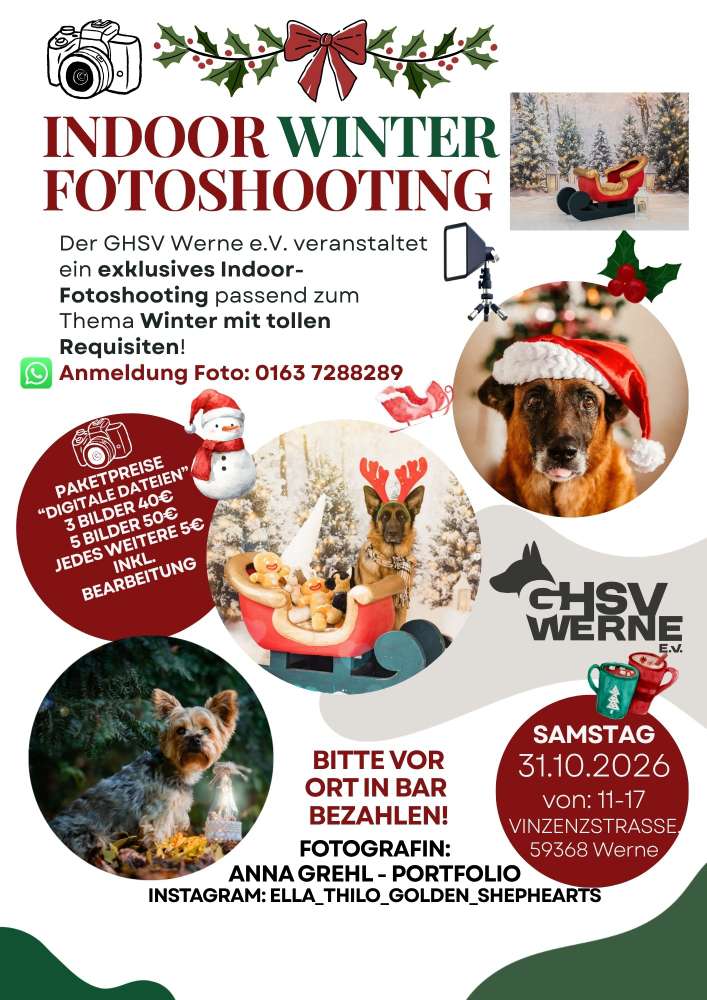 Hundetreffen-Fotoshooting Winterlandschaft-Profilbild