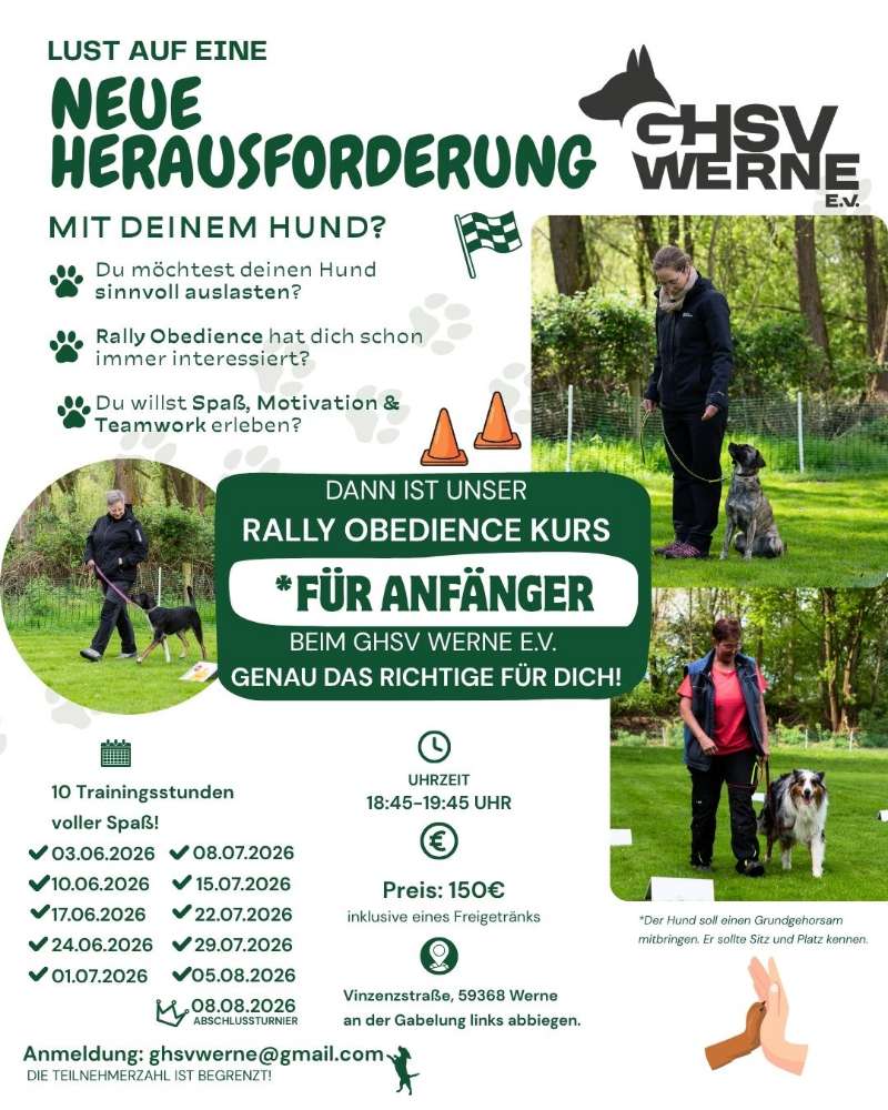 Hundetreffen-Rally Obedience Anfänger Kurs-Profilbild