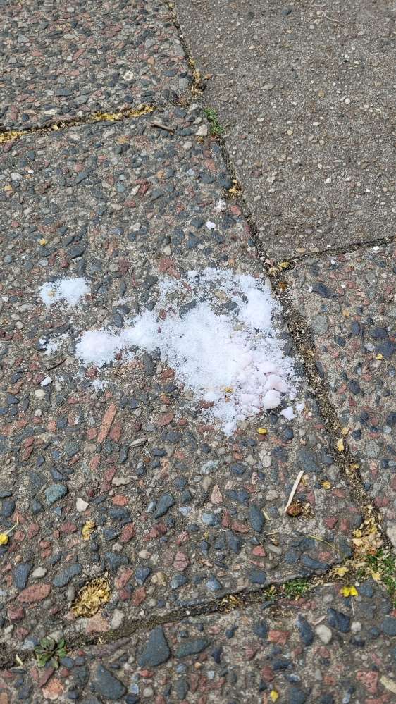 Giftköder-Weißes Pulver-Profilbild