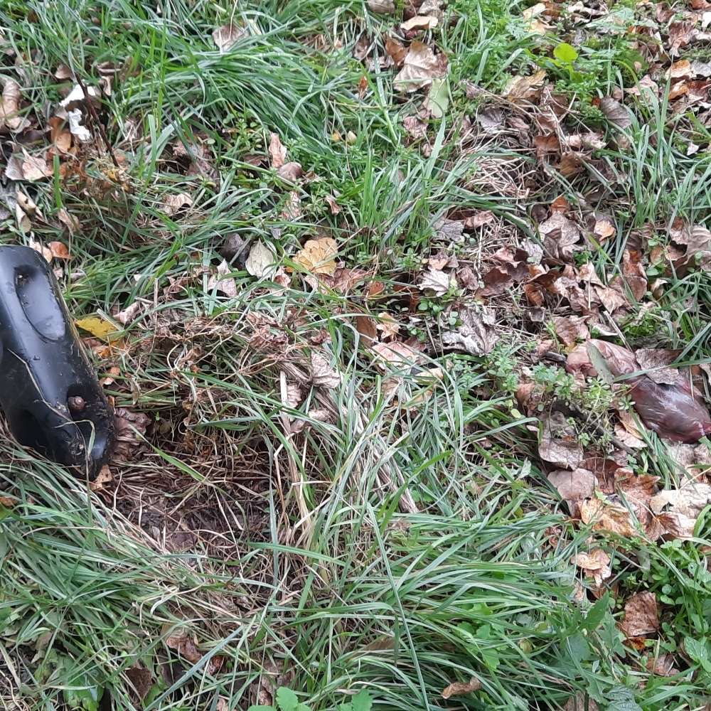 Giftköder-Altes Fleisch-Profilbild