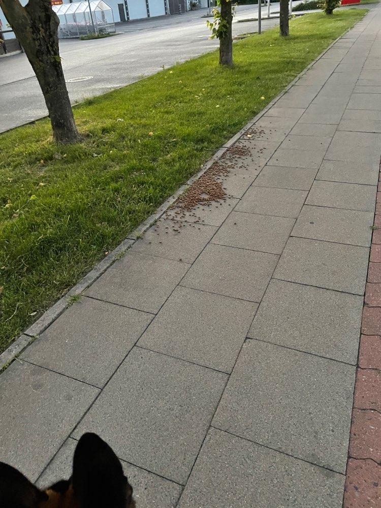 Giftköder-Futter auf Grünstreifen und Gehweg-Profilbild