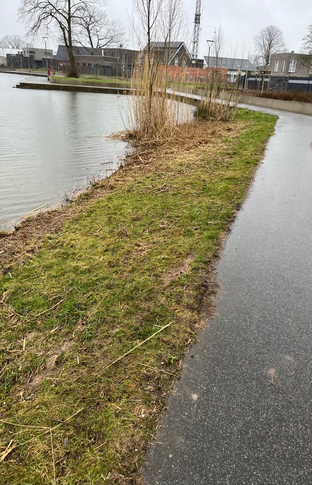 Giftköder-Vergiftungserscheinungen-Profilbild