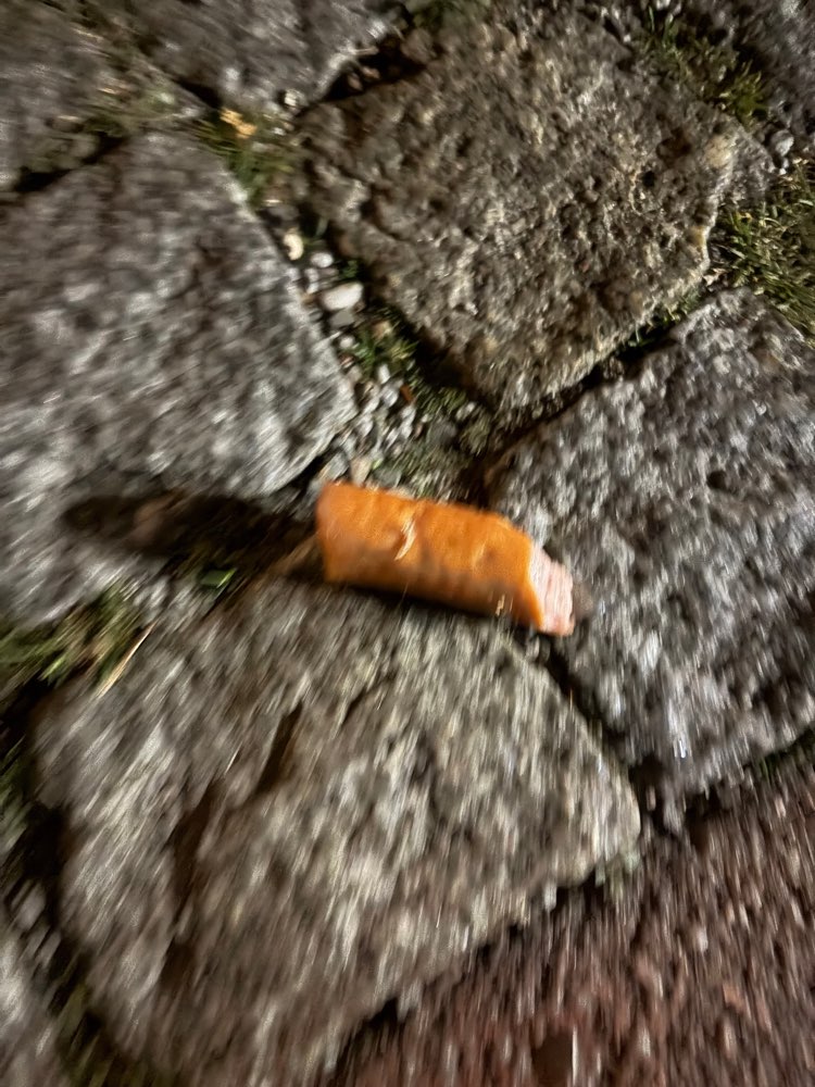 Giftköder-Wurst mit Rattengift-Profilbild