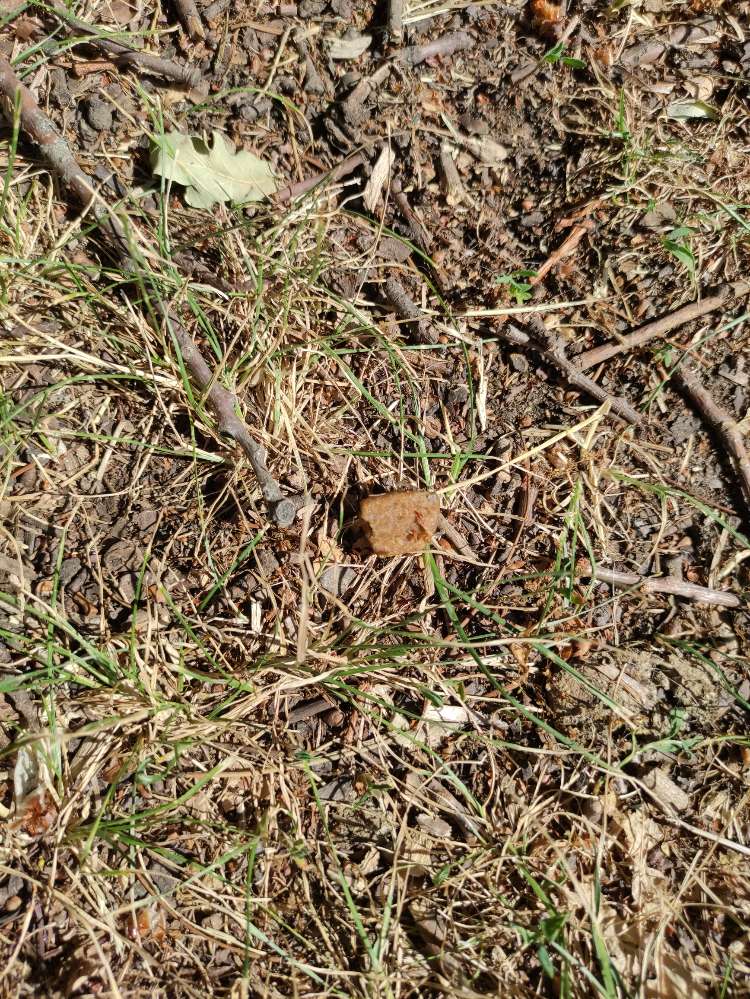 Giftköder-Futter neben dem weg-Profilbild