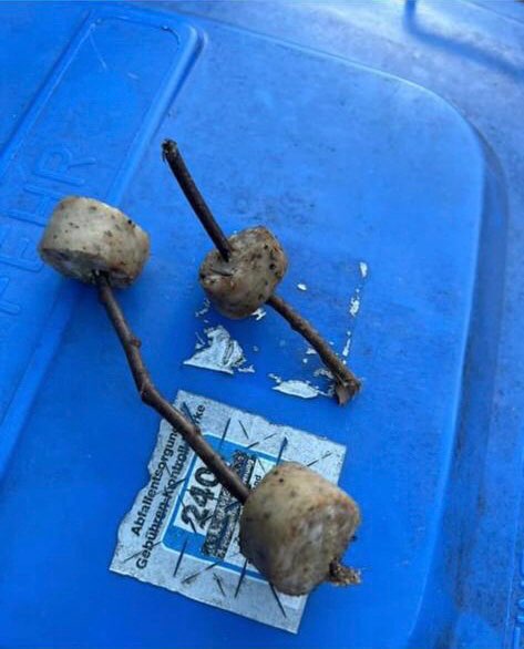 Giftköder-Giftköder in Gudensberg-Profilbild