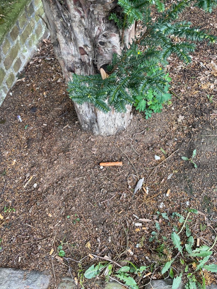 Giftköder-Wurst ausgelegt (vielleicht Giftköder)-Profilbild