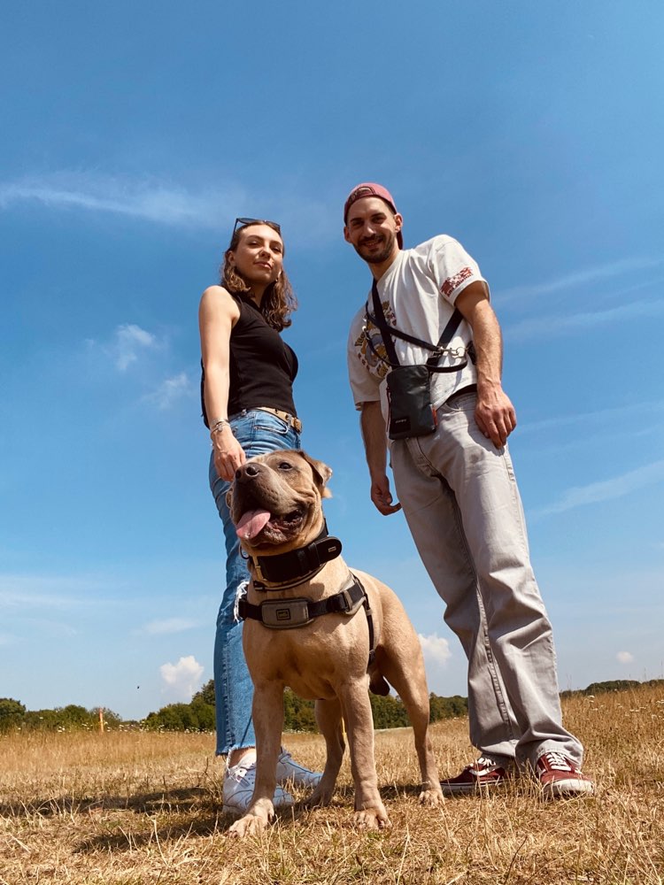 Hundetreffen-Suchen Soziale Kontakte/Hundefreundschaften/Trainingspartner im neuen Wohnort!😊-Profilbild