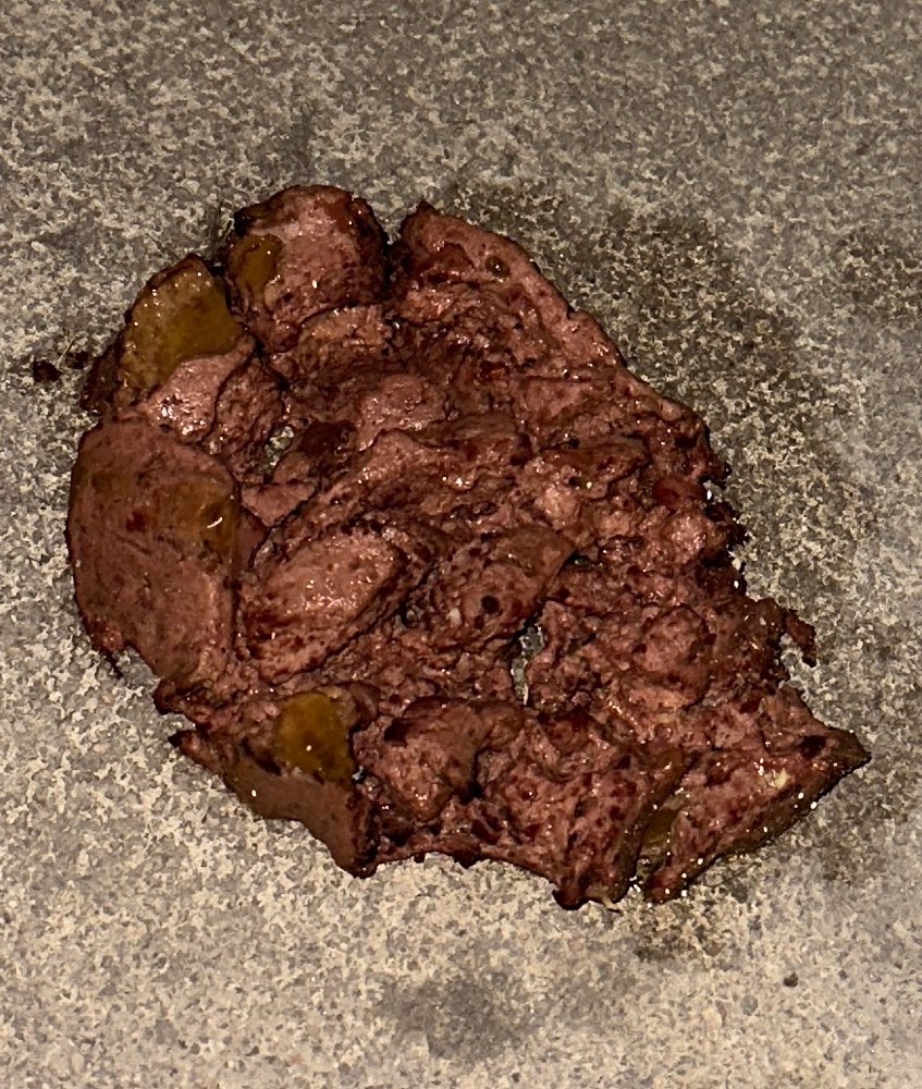 Giftköder-Hunde Nassfutter mit weissem Pulver-Profilbild