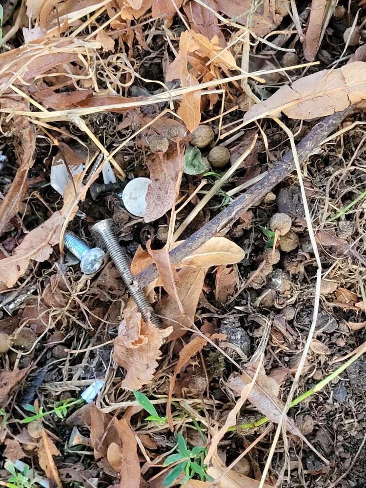 Giftköder-Schrauben und Glassplitter-Profilbild