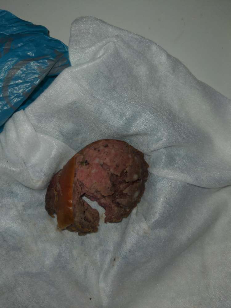 Giftköder-Wurst-Profilbild