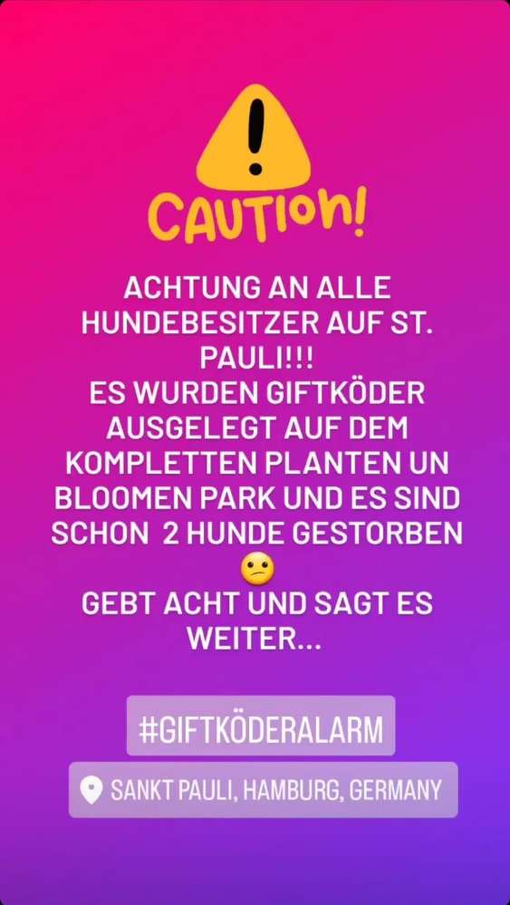 Giftköder-Giftköder-Profilbild