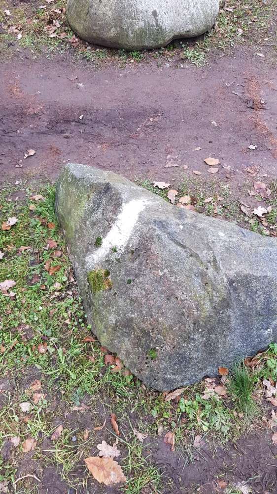 Giftköder-Weißes Pulver-Profilbild