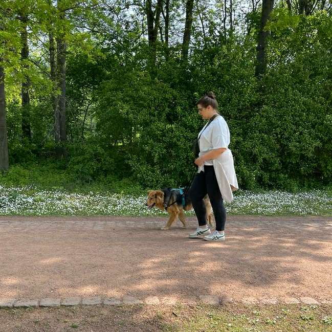 Ersteller:in Spaziergang & Spielrunde bei Hunde-Sympathie 😊 Profilbild