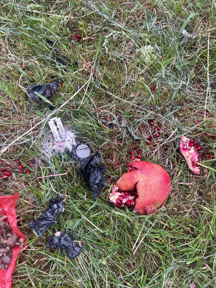 Giftköder-Vermutlich Rasierklinge mit Granatapfel-Profilbild