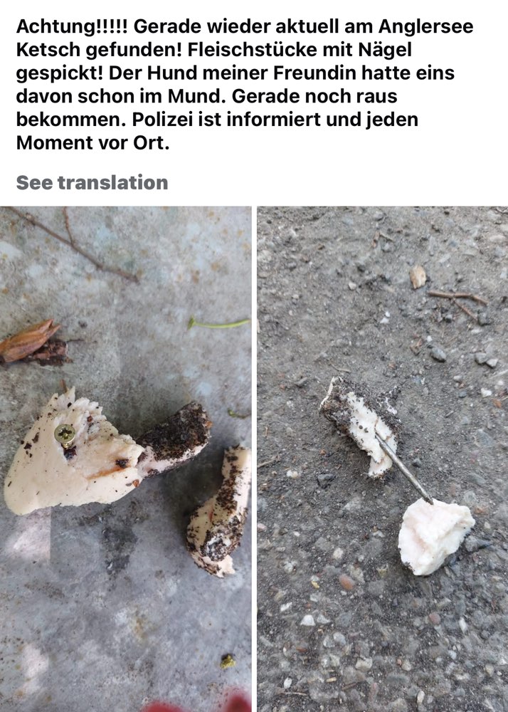 Giftköder-Fleisch mit Nagel-Profilbild