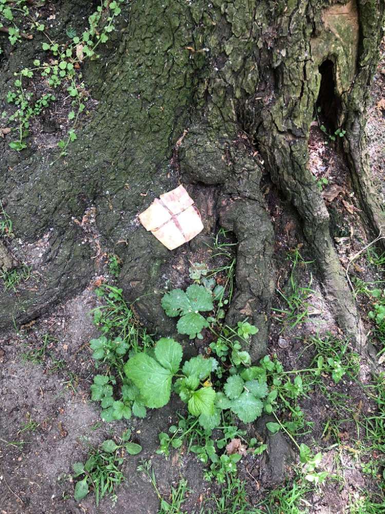 Giftköder-Evtl. Giftköder-Profilbild