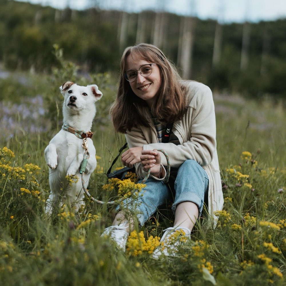 Hundetreffen-Spaziergänge mit Spieleinheiten-Profilbild