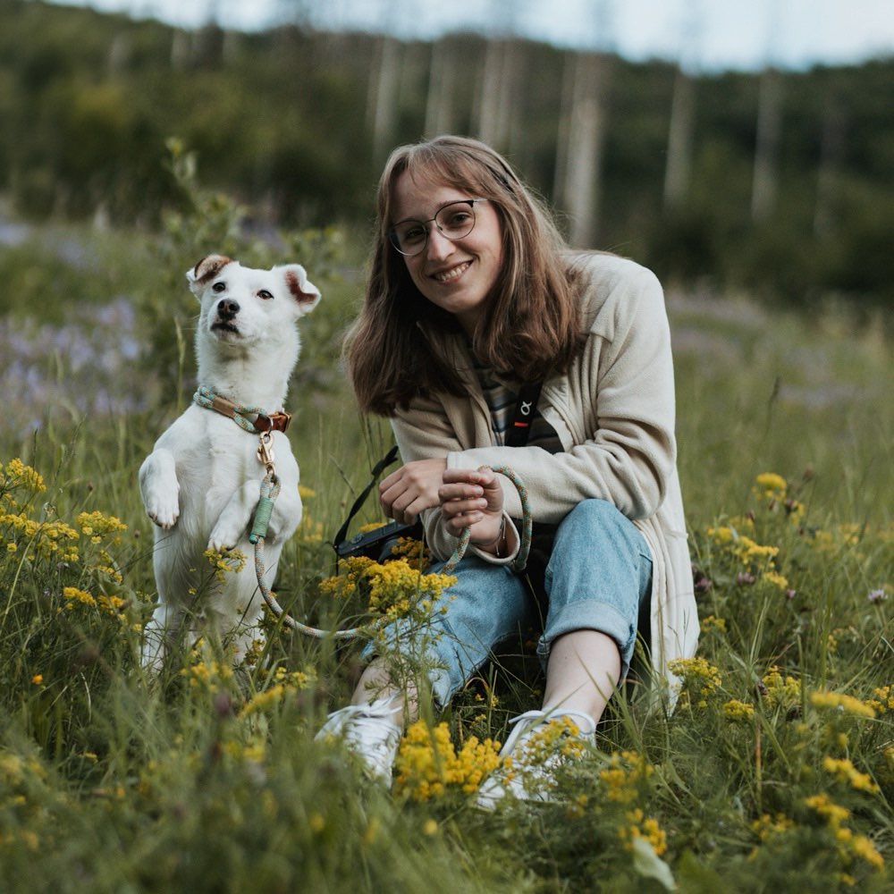 Hundetreffen-Spaziergänge mit Spieleinheiten-Profilbild