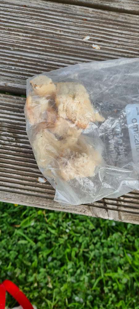 Giftköder-Evtl. Gift im Brot-Profilbild