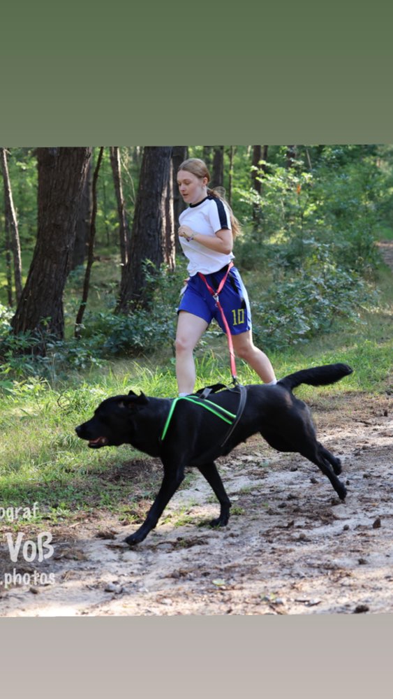 Hundetreffen-Leihhund/Sportpartner gesucht-Profilbild