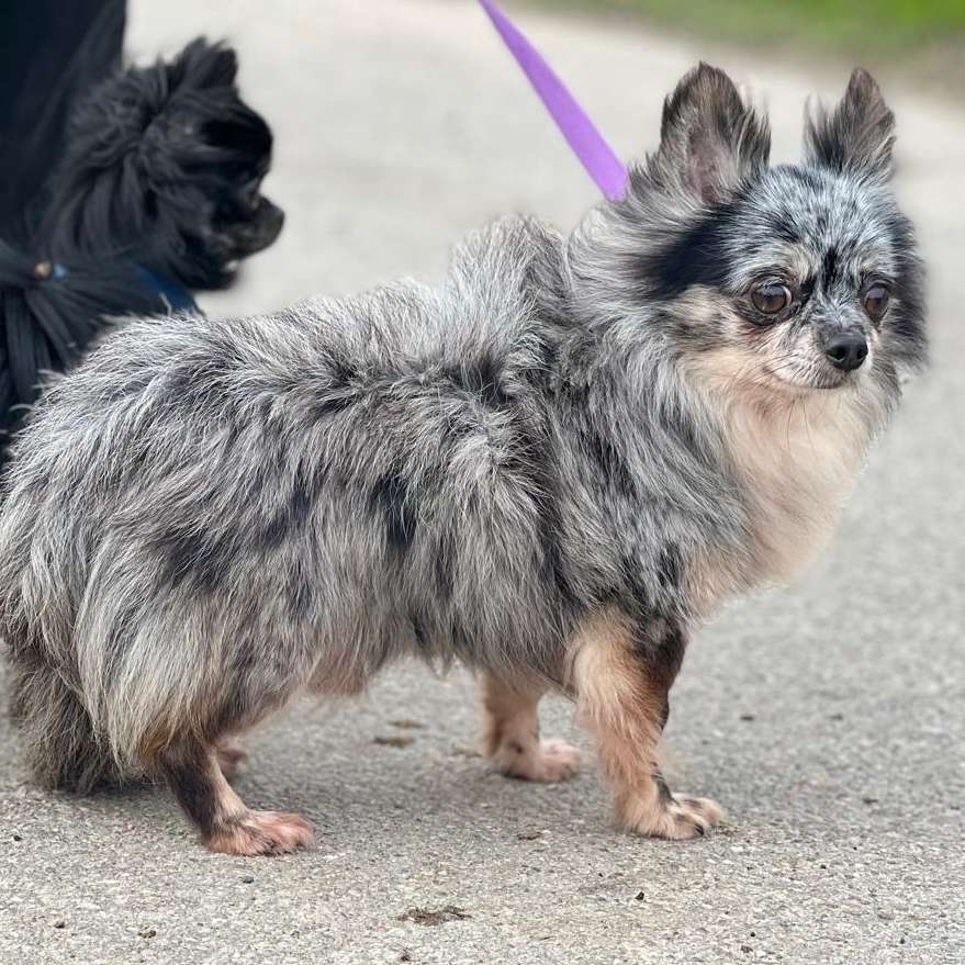 Suchmeldung-Luan-Profilbild