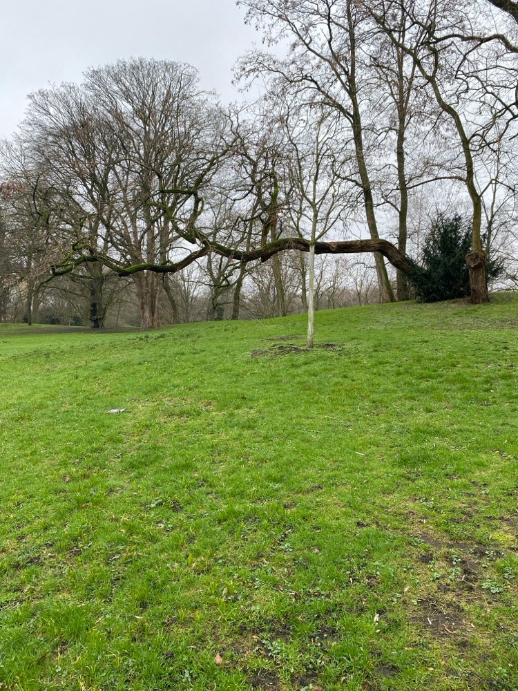 Giftköder-Toter Vogel auf Wiese nähe AOK-Profilbild