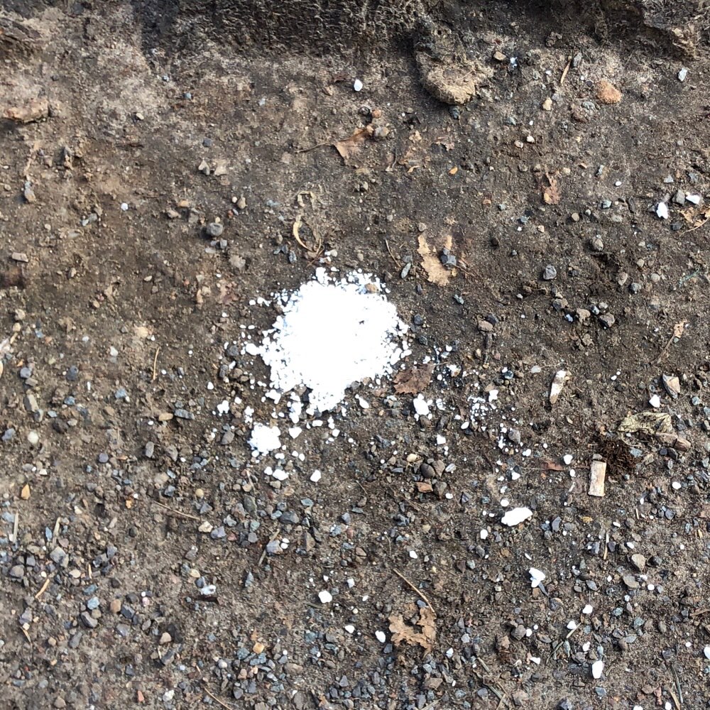 Giftköder-Unklares weisses Pulver-Profilbild