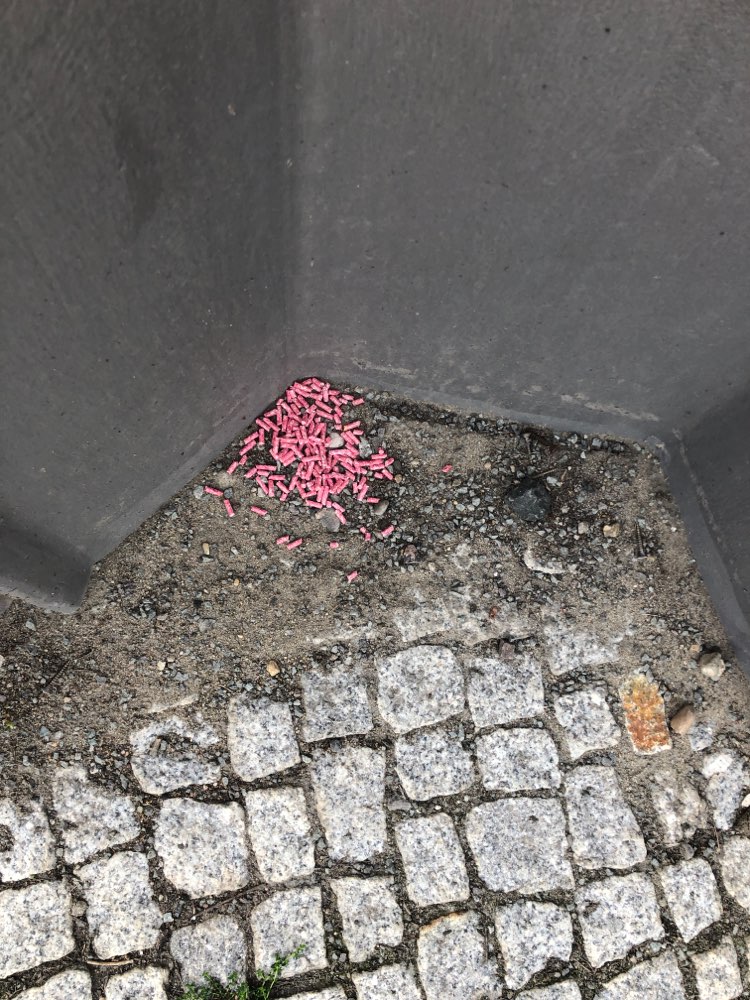 Giftköder-Rattengift-Profilbild